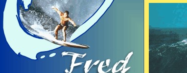 surfing books